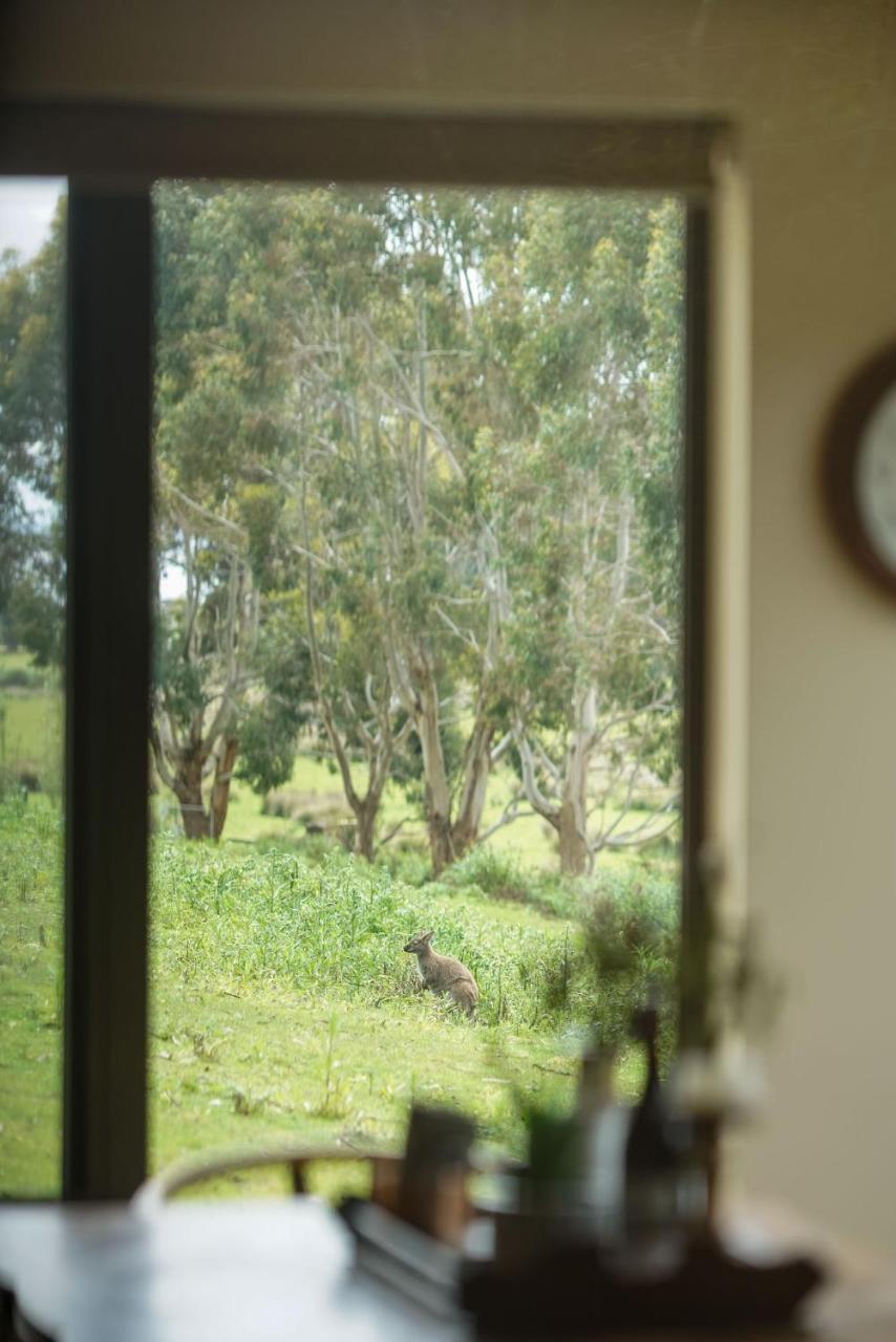 Adventure Bay Retreat Bruny Island Villa Buitenkant foto